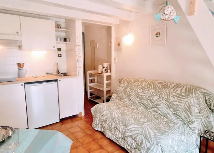 Apartament De 20 M2 Proche De La A Sainte-maxime *